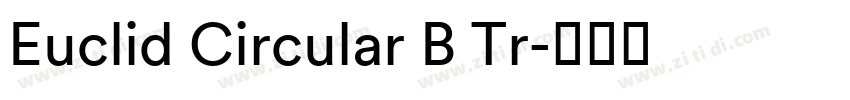 Euclid Circular B Tr字体转换